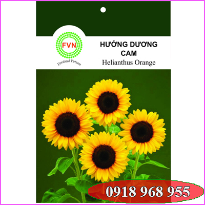 In túi hạt giống| baobigiaphat.vn